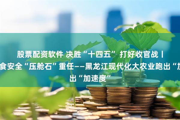 股票配资软件 决胜“十四五”&#32;打好收官战丨扛起粮食安全“压舱石”重任——黑龙江现代化大农业跑出“加速度”