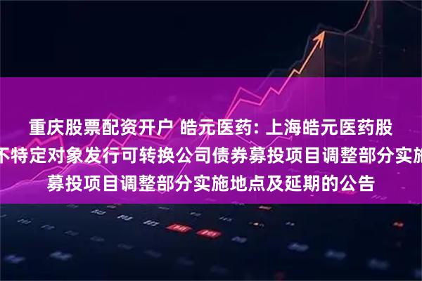 重庆股票配资开户 皓元医药: 上海皓元医药股份有限公司关于向不特定对象发行可转换公司债券募投项目调整部分实施地点及延期的公告