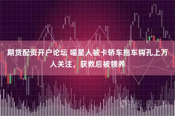 期货配资开户论坛 喵星人被卡轿车拖车钩孔上万人关注，获救后被领养