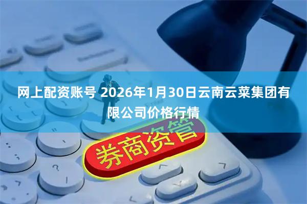 网上配资账号 2026年1月30日云南云菜集团有限公司价格行情