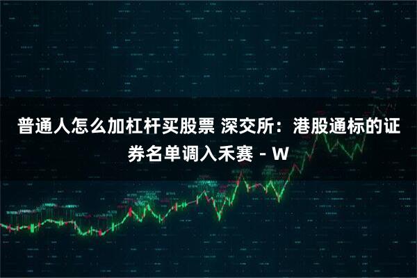 普通人怎么加杠杆买股票 深交所：港股通标的证券名单调入禾赛－W